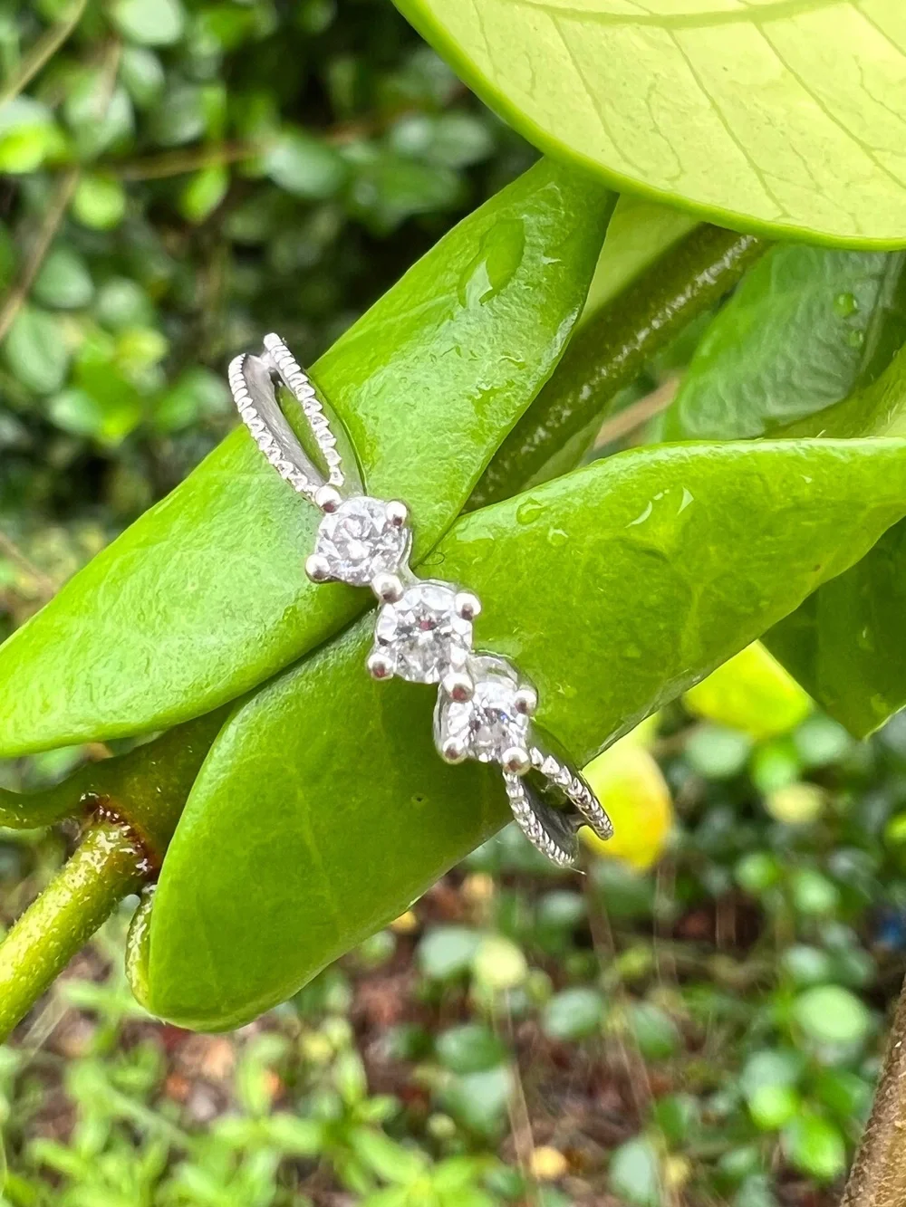 White gold natural diamond three stone ring.